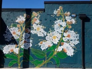 Untitled mural, photo from Atlanta Cap Murals