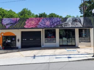 Untitled mural, photo from the city's open data