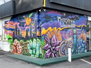 Untitled mural, photo from the city's open data
