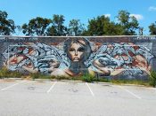 Artist ?<br/>2011 - 2022<br/><span style= "font-size: 6pt">33.74181485969857,-84.3467908725143</span> Street Art Mural formerly in East Atlanta Village by an unknown artist featuring a woman's face and birds