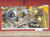 Arcy (Ryan Christenson)<br/>2017 - 2022<br/><span style= "font-size: 6pt">33.73227836379206, -84.42325941049329</span> Street Art Mural formerly on the BeltLine in West End Atlanta by Arcy featuring an owl