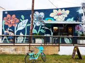 Ouzi (Louise Jones)<br/>2017 - 2024<br/><span style= "font-size: 6pt">33.77386101546, -84.3646031681307</span> Street Art Mural Formerly in Virginia-Highland Atlanta by Ouizi (Louise Jones) featuring flowers