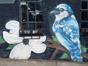 Chris Veal<br/>2015 - 2024<br/><span style= "font-size: 6pt">33.76117010743464,-84.3662570716424</span> Street Art Mural formerly in Old Fourth Ward Atlanta by Chris Veal featuring a blue jay and flowers