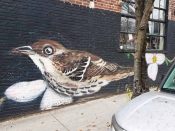 Chris Veal<br/>2015 - 2024<br/><span style= "font-size: 6pt">33.761140991524044, -84.36560104215818</span> Street Art Mural formerly in Old Fourth Ward Atlanta by Chris Veal featuring a brown bird