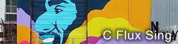 C Flux Sing - Street Artist and Muralist - Icon