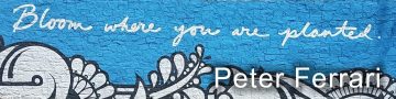 Peter Ferrari - Street Artist and Muralist - Icon