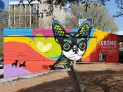 Chris Makes Art (Chris Wright)<br/>2022 - 2026<br/><span style= "font-size: 6pt">33.781929489159005, -84.38298770668308</span> Street Art Mural formerly in Midtown Atlanta by Chris Makes Art (Chris Wright) featuring a dog