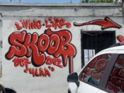 Dr. Dax (Dax Rudnak)<br/>2022 - 2023<br/><span style= "font-size: 6pt">33.754101875106436, -84.37653614932675</span> Graffiti piece formerly in Sweet Auburn Atlanta by Dr. Dax (Dax Rudnak) featuring "Skoob"