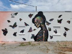 Street Art Mural formerly in Reynoldstown Atlanta by AGPNT featuring a skeleton and butterflies