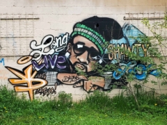 Montay Foolin<br/>2022? - 2025<br/><span style= "font-size: 6pt">33.75830714396998, -84.4032538919605</span> Street Art Mural formerly in Vine City Atlanta by Montay Foolin featuring Shawty Lo