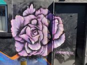 Marina O'Connell<br/>2024 - 2026<br/><span style= "font-size: 6pt">33.74035985041166, -84.34483918720018</span> Street Art Mural formerly in East Atlanta by Marina O'Connell featuring a rose.