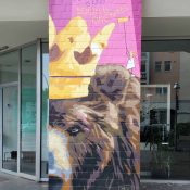 <strong>Artist:</strong> CAZ.L<br>
<strong>Location:</strong> Bülowstraße<br>
<strong>Notes:</strong> The bear is the symbol of Berlin