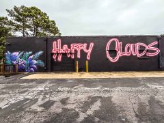 Enoch Waters<br/>2026 - <br/><span style= "font-size: 6pt">33.794907663155776, -84.2636373595988</span> Street Art Mural in Greater Valley Brook, Georgia by Enoch Waters featuring "Happy Clouds" and plants