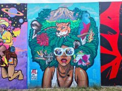 Street Art Mural in Cabbagetown Atlanta by Raz featuring a woman with animals in her hair. Painted 2023, updated 2026