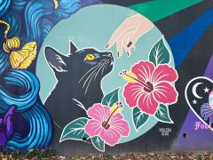 Street Art Mural in Cabbagetown Atlanta by Kayleen Scott featuring a cat